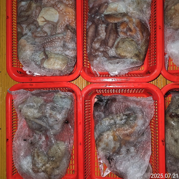 성진피싱 (진해 수도)_사진_20250721_11.jpg