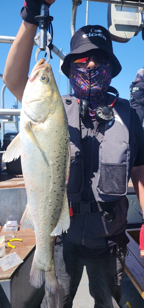 예지퀸호 농어외수질&어초낚시 경기인천권_사진_20250727_6.jpg