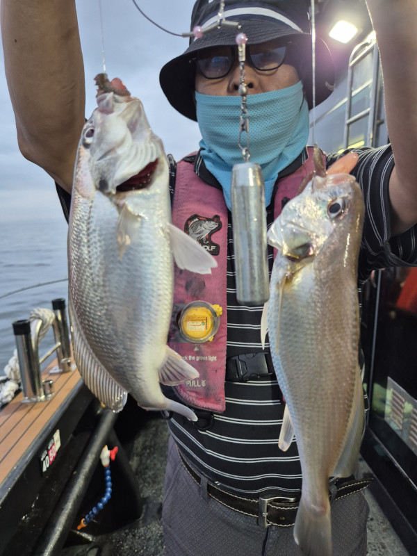 10aec989236cd6d58d283d6bdd962526_mini.jp