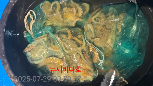 1132f95c07bd4b07a99d33fb6d63cac7.jpg