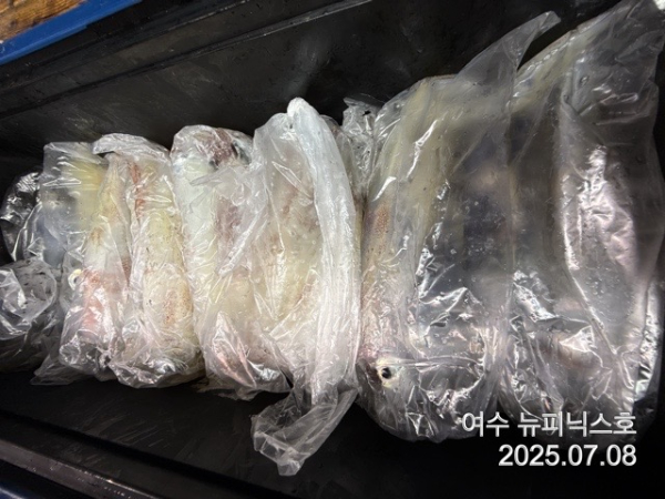 7월8일한치 (31).jpg