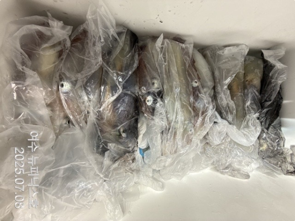 7월8일한치 (1)-tile.jpg