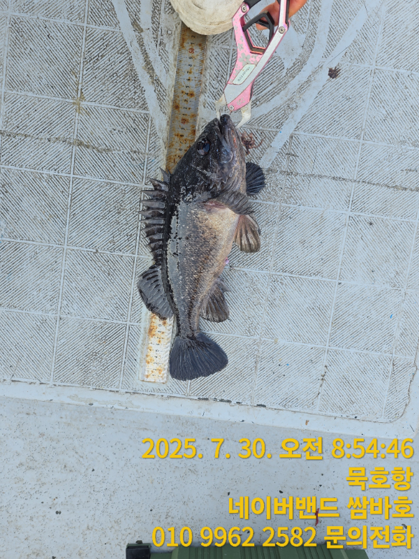 TimePhoto_20250730_085446.jpg