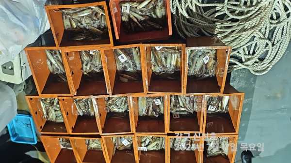 신신낚시 강구점 신신호_사진_20250717_15.jpg