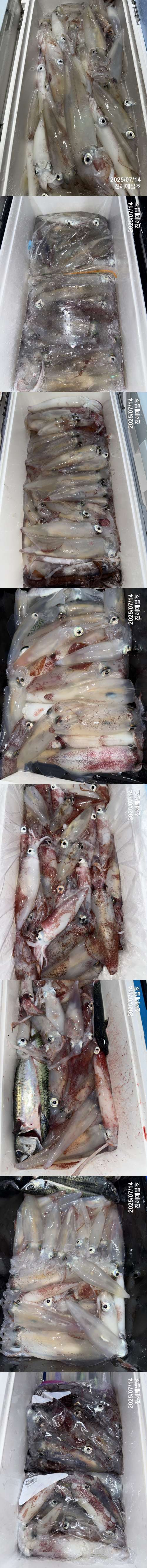 왕한치3.jpg