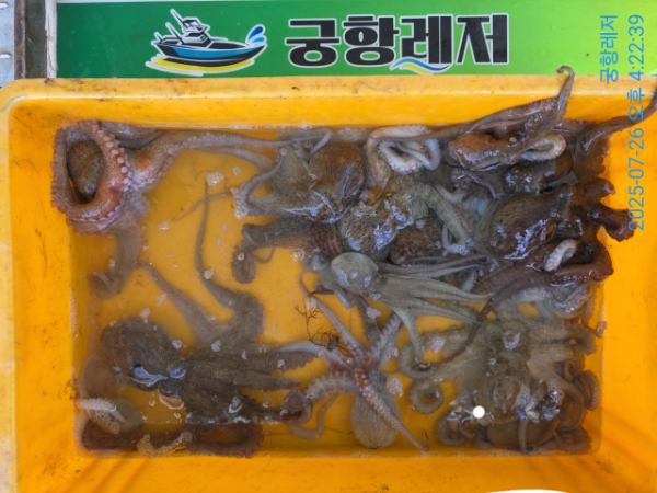 궁항레저_사진_20250727_5.jpg