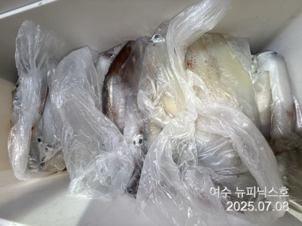 7월8일한치 (17).jpg