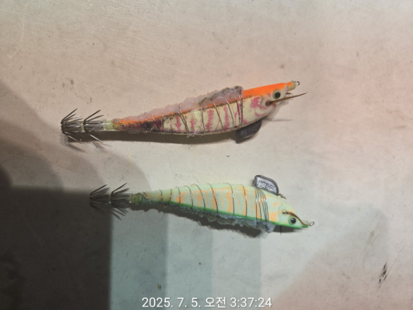 제주선상낚시피닉스호_사진_20250705_9.jpg
