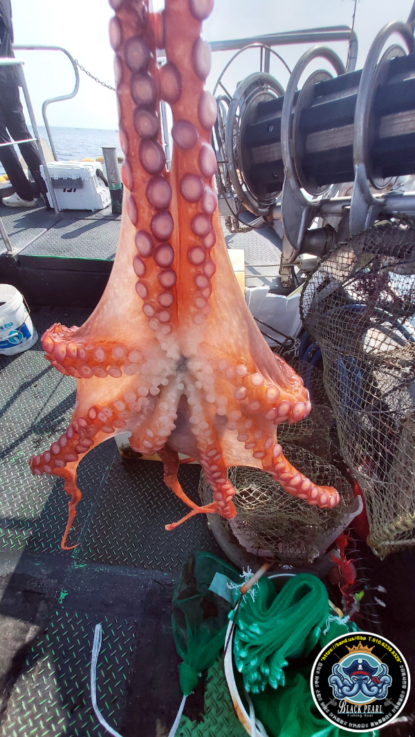 KakaoTalk_20250705_123647977_13.jpg