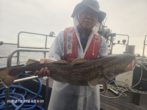 [크기변환]공현진낚시마트(돌핀호)_사진_20250720_1.jpg