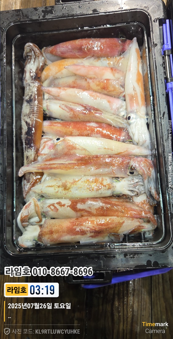 2025-07-26 03.19.38__(제목-라임호)_(라임호 010-8667-8696).jpg