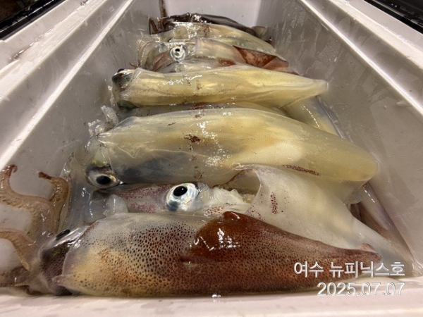 KakaoTalk_20250707_065128127_16.jpg