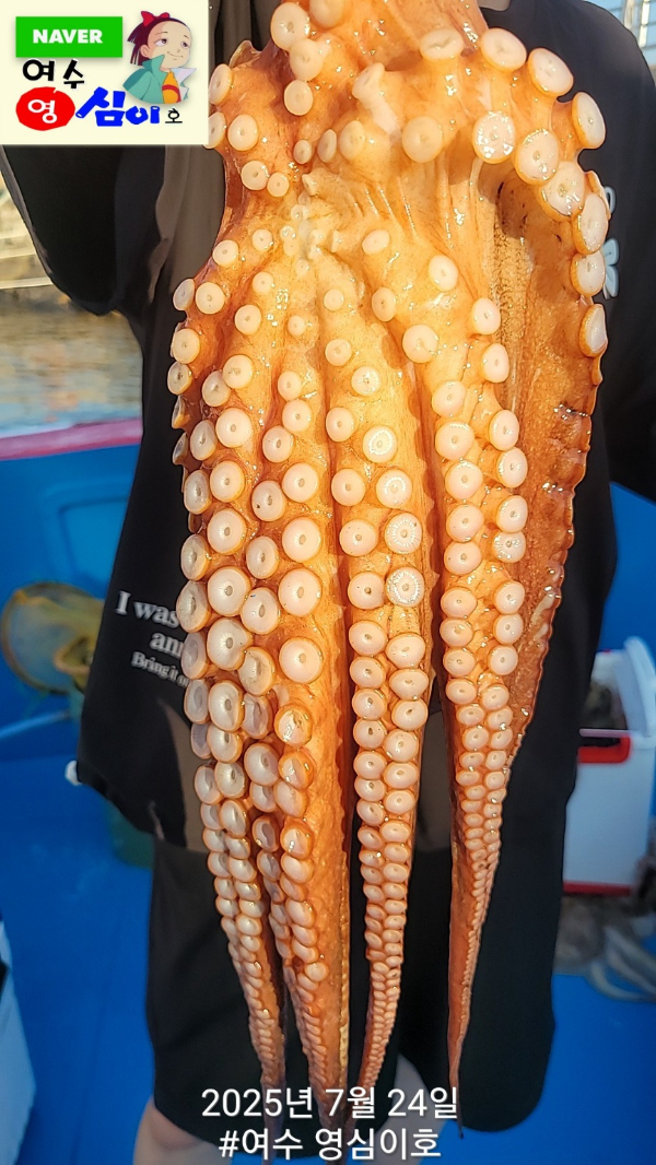 KakaoTalk_20250724_203228410_06.jpg