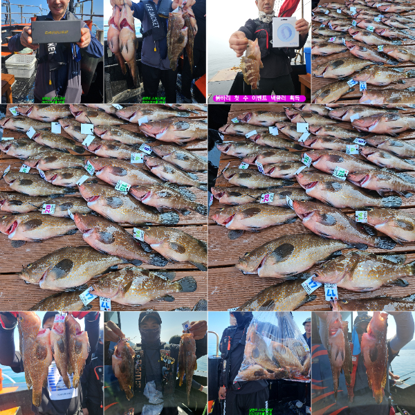 KakaoTalk_20250704_092249700.jpg