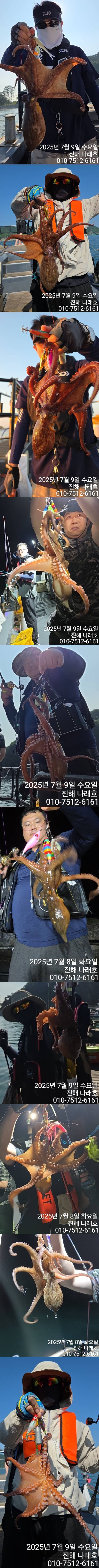 문어1.jpg