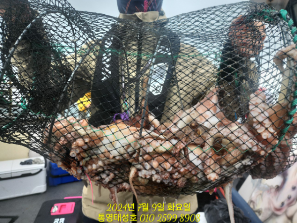 18f5f3cfd26a6db86f55a199f8f5438e.jpg