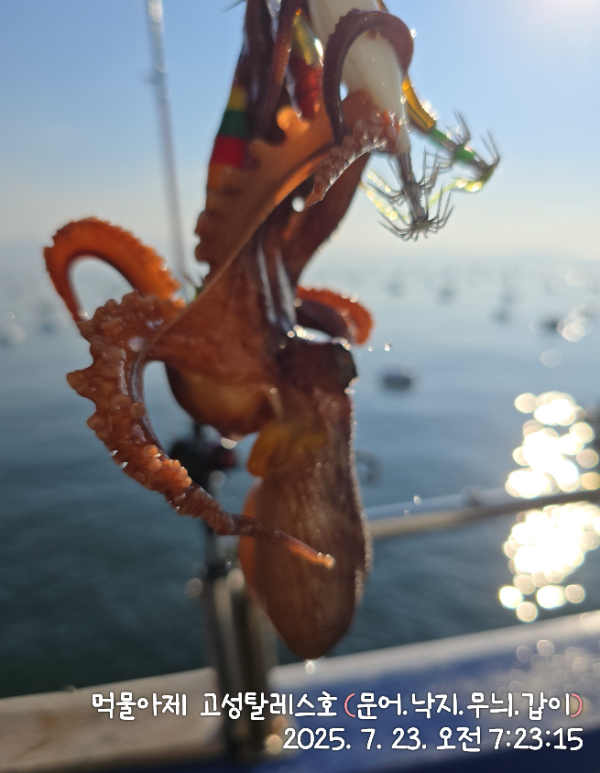 IMG_20250723_072315.jpg