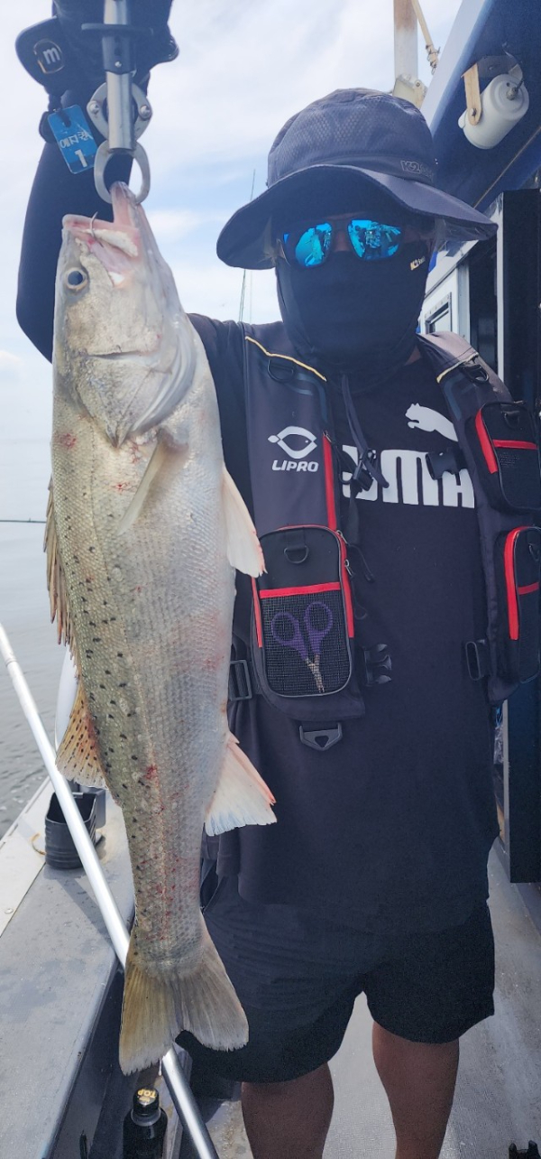 예지퀸호 농어외수질&어초낚시 경기인천권_사진_20250724_24.jpg