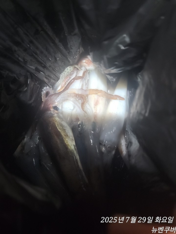 IMG_7372.jpeg
