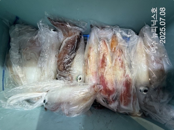 7월8일한치 (16)-tile.jpg