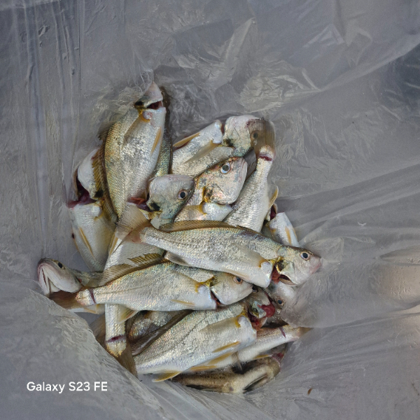 인천바다낚시 (8).jpg