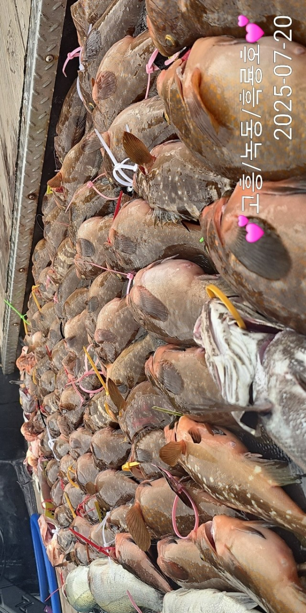 1000058751.jpg