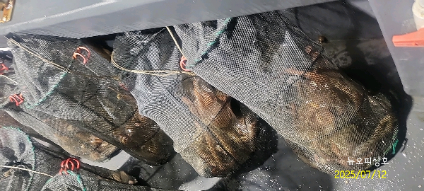 DateCamera0712231759.jpg