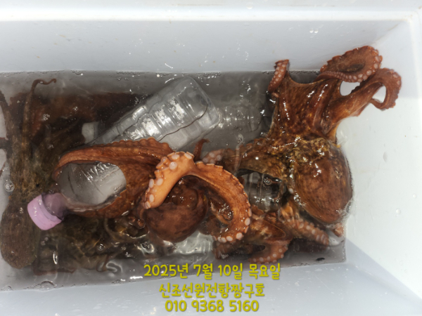 KakaoTalk_20250710_015350428_01.jpg