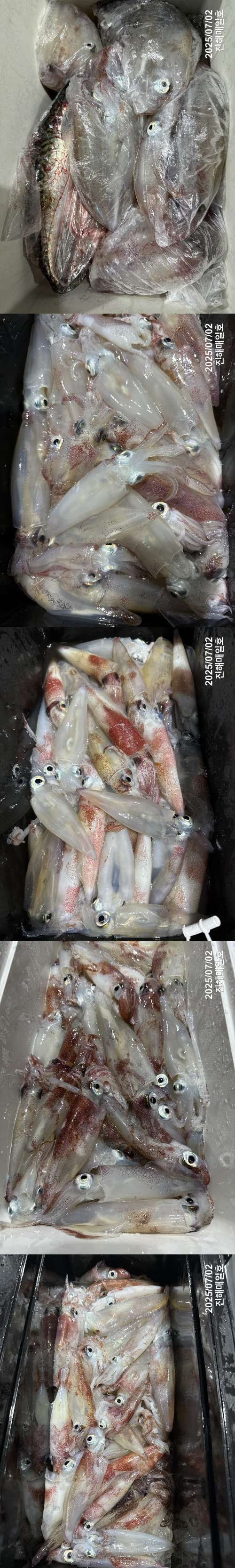 왕한치3.jpg