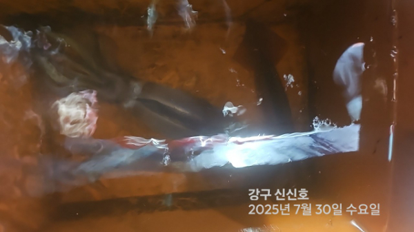 신신낚시 강구점 신신호_사진_20250730_6.jpg