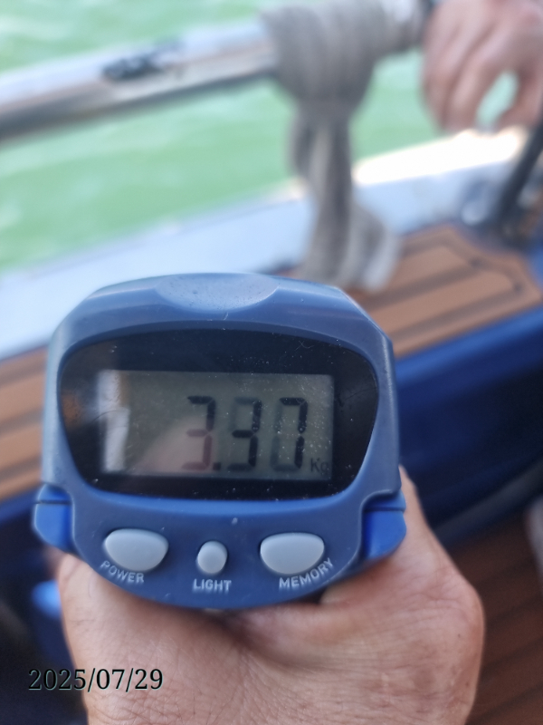 20250729_144953.jpg