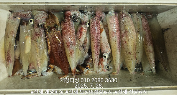20bf561fb119641150cee1fc4723cd77.jpg