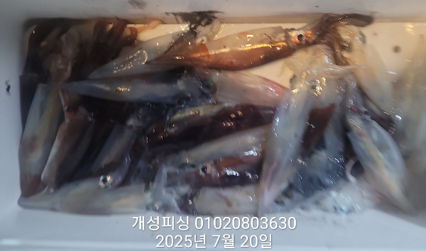 21809cc9fcc6eb8cc1ead2a1822308f0.jpg