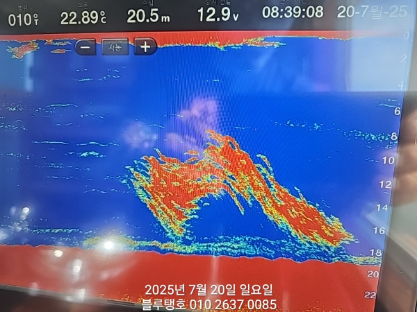 20250720_083909.jpg