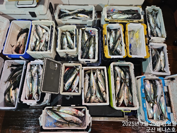 KakaoTalk_20250725_024908392.jpg
