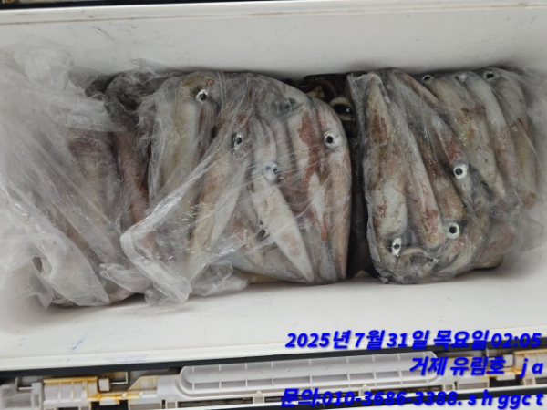 230cf08017cc7b65cffa9cdbbdc912ac.jpg