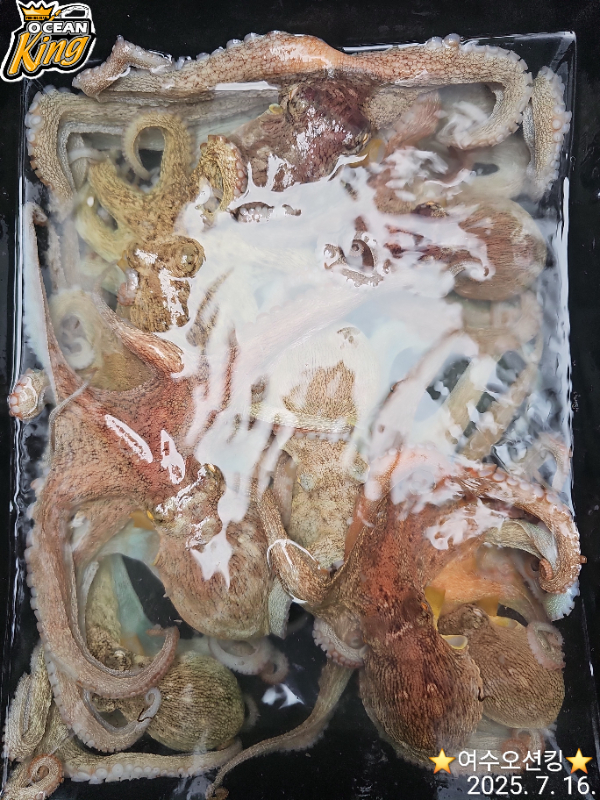 1000031042.jpg