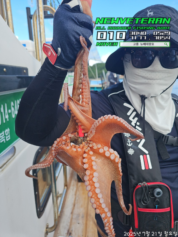 고흥뉴베테랑호_사진_20250721_10.jpg