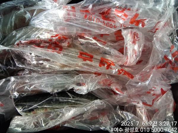 KakaoTalk_20250706_112615269_16.jpg