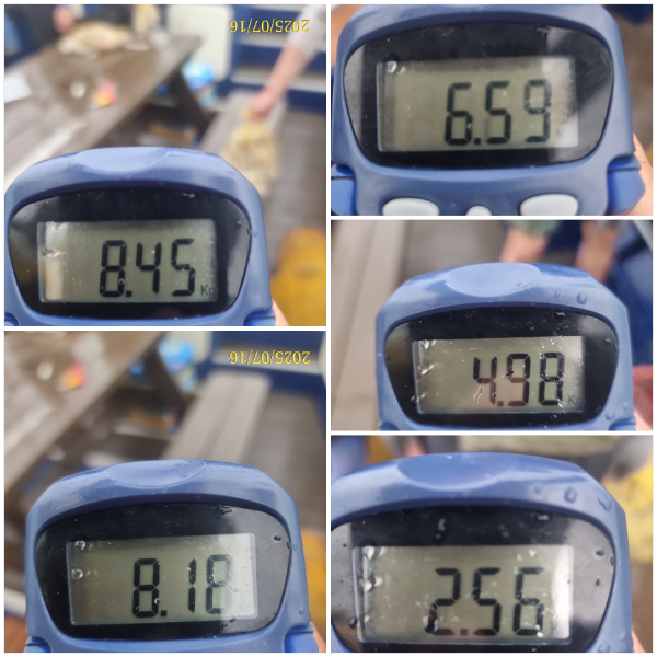1752655350270.jpg