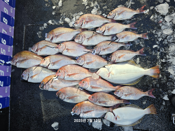 25b2d3390ff0d5a8a19589d4742e52a5_mini.jp