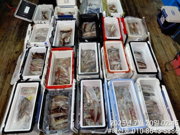 27ba1502ccfda827aa1f1de1e7298fb9.jpg