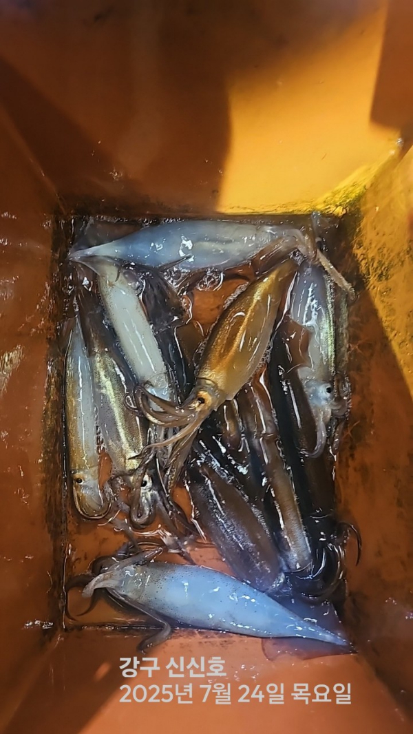 신신낚시 강구점 신신호_사진_20250724_22.jpg