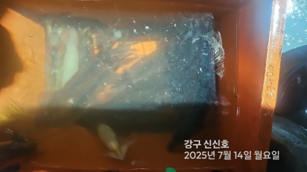 신신낚시 강구점 신신호_사진_20250714_7.jpg