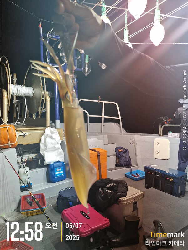 2025-07-05 12.58.53_.jpg