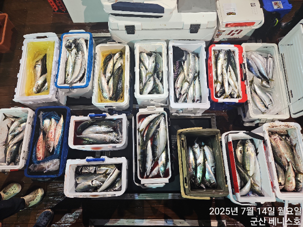 KakaoTalk_20250714_033232509_01 (1).jpg