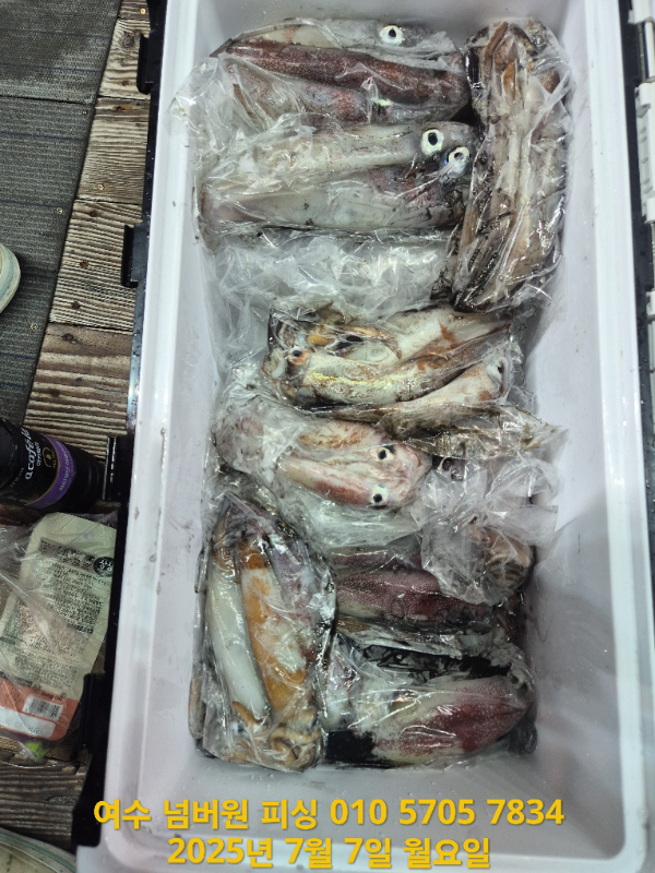 KakaoTalk_20250707_051657960_18.jpg