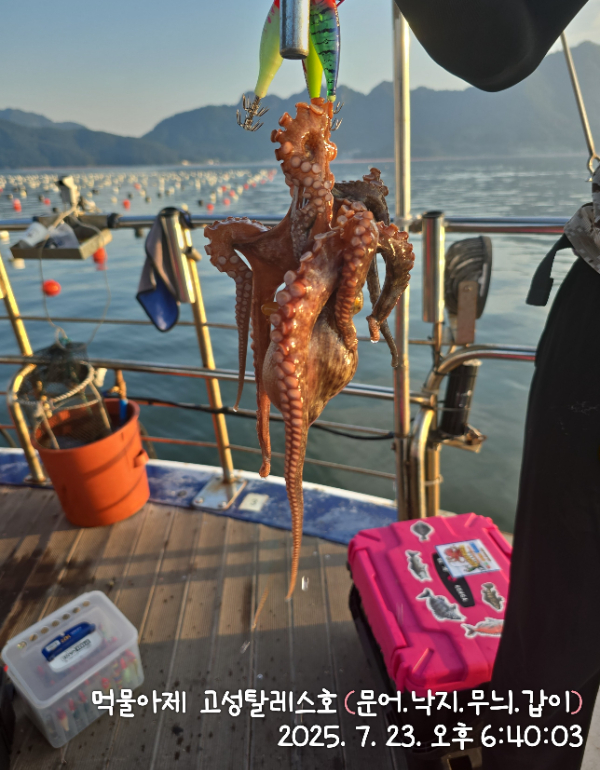 IMG_20250723_184003.jpg