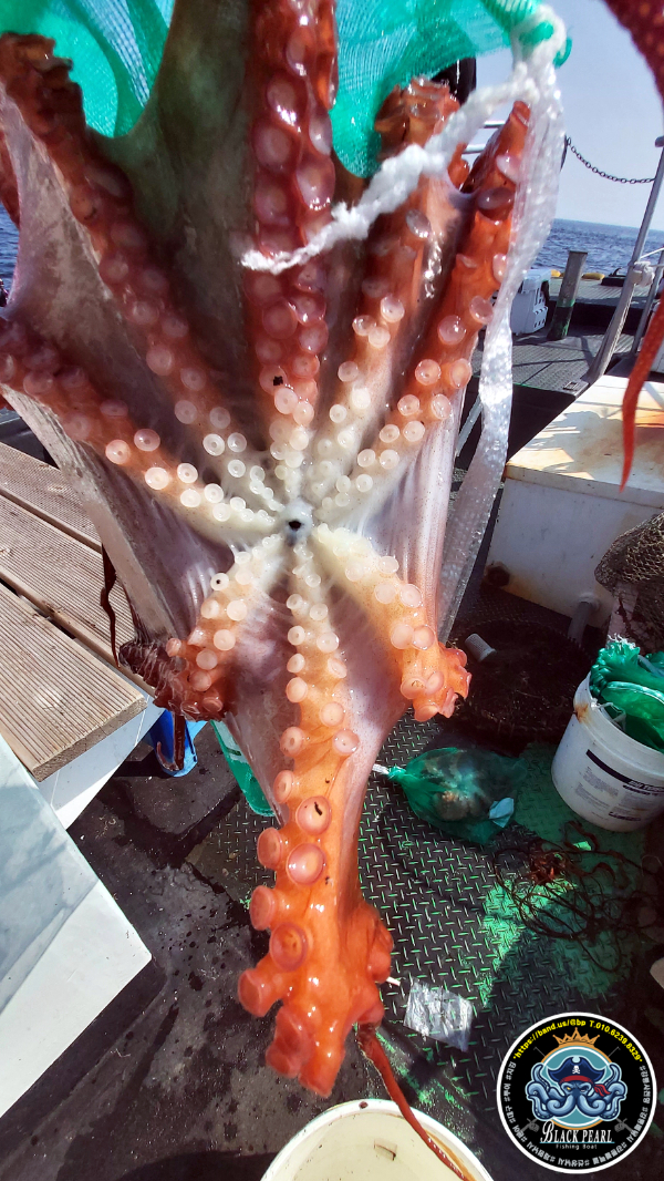KakaoTalk_20250705_123647977_17.jpg