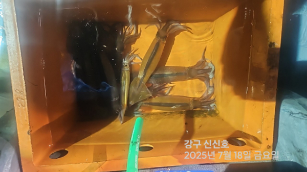 신신낚시 강구점 신신호_사진_20250718_13.jpg